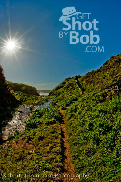 Pacific Coast near Big Sur