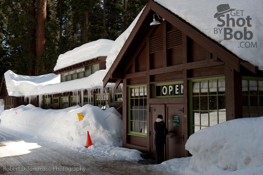 Sequoia National Park (2 of 2)