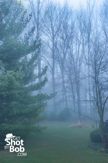 201203190002 Misty morning